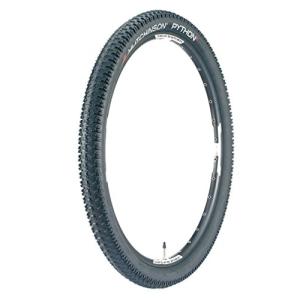 パナレーサー(Panaracer) クリンチャータイヤ AGILEST (アジリスト