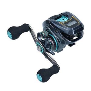 DAIWA（ダイワ） ベイトリール 紅牙 X IC 2019年モデル (右巻) : 釣具