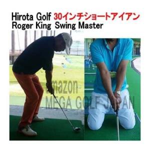 ロジャーキング スイングマスター 練習機クラブ 7番ショートアイアン (30 インチ)