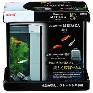 寿工芸 レグラスフラット F-90S/B : たま実屋商店 - 通販 - Yahoo