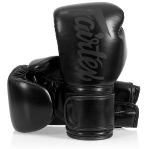 フェアテックス Fairtex 本革 ボクシンググローブ BGV16 8オンス 10
