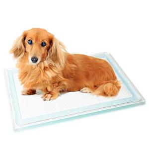 犬用 トイレ ペットトイレ トレー 洗える アクリル Kuai : かぐらし