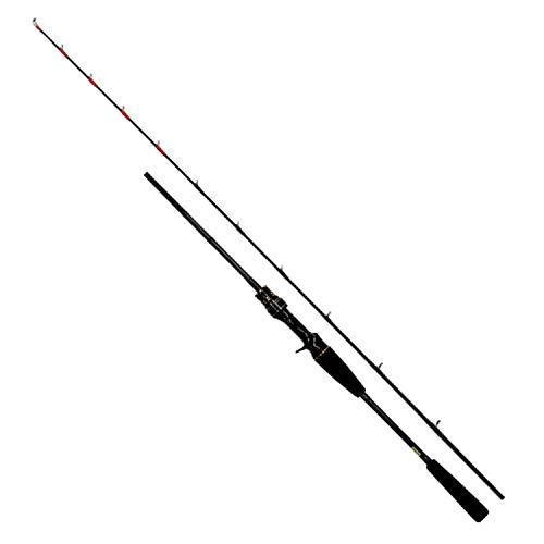 ダイワ(DAIWA) 21 マイカ X 180・R
