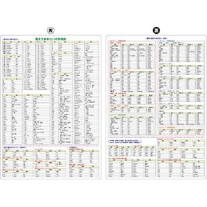 受験A4下敷き (英語)