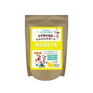SPAZIO NOBITA(ノビタ) ソイプロテイン FD0002 (はちみつレモン味) 600g