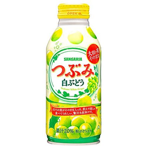 サンガリア つぶみ白ぶどう 380g ×24本