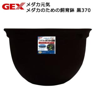 ジェックス GEX メダカ元気 メダカのための...の詳細画像2
