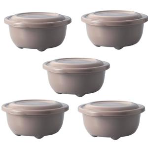 タケヤ化学工業(Takeya) レンジでふっくらごはん 5個組 250ml ベージュ 日本製 食洗機対応 冷凍 冷蔵庫 106910