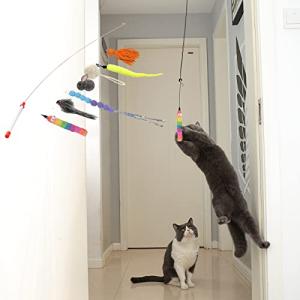 JUNSPOW猫じゃらし ハンギングドア猫用おもちゃ9個セット/2つの遊び方 天然鳥羽猫スティック猫マウスおもちゃと自動交換可能なおもちゃ (9｜tamari-do