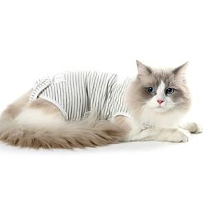 術後服 猫用 ペット術後ウェア 介護服 皮膚保護 不妊手術 傷口保護 避妊 傷舐め 引っ掻き防止 手術用 男の子 女の子 兼用 (L グレー)