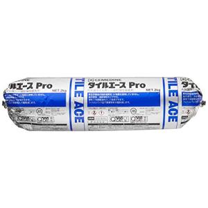 セメダイン タイルエースPro 2kg グレー RE-452