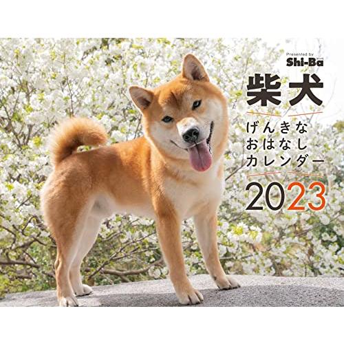 2023カレンダー 柴犬げんきな おはなしカレンダー ( カレンダー )