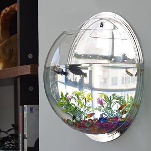 EJG 壁掛け水槽 観葉植物 アクアリウム 花瓶、壁掛け水培養植物容器 観賞魚、 は背面がミラー ２３ｃｍ 植物を栽培する （添付 フィッシング｜tamari-do