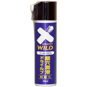 AZ(エーゼット) 鍵穴潤滑 ドライルブ スプレー 50ml DKL-001 カギ穴潤滑剤 フッ素100%の驚異の潤滑 939