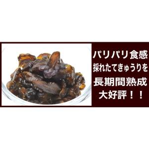 たまり漬 きゅうり 250g 袋入りの詳細画像3