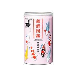 長者盛　純吟原酒　錦鯉図鑑アルミ缶 180mlx30