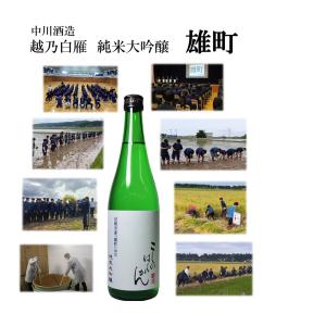 越乃白雁 純米大吟醸 雄町720ml