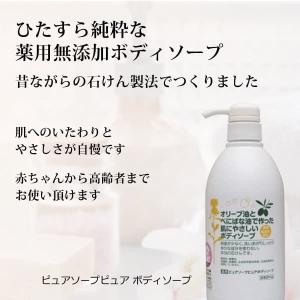 SUN NAHORU サンナホル ボディソープ「風にのって」 600ml