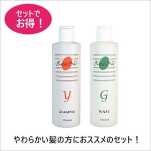 ジザニアシャンプーY＋ジザニアリンスG 薄毛・細毛・やわらかい髪向けのジザニアシャンプーセット 石油系・シリコン・合成ポリマー不使用｜tamashii