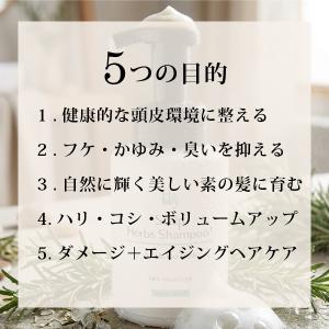 完全無添加 魂のハッピースカルプハーブシャンプ...の詳細画像4