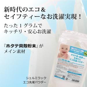 無添加 洗濯洗剤 使用量１g シェルミラックエコ洗濯パウダー120ｇ（約120回） 除菌 消臭 界面活性剤不使用 蛍光剤不使用 ホタテパウダー由来
