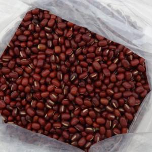 渡部信一 無農薬 小豆約1kg [正規品] 北...の詳細画像5