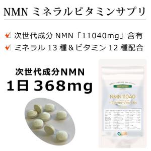 NMNミネラルサプリメント - NMN 11040 プラスエレクトロバイタミン240粒