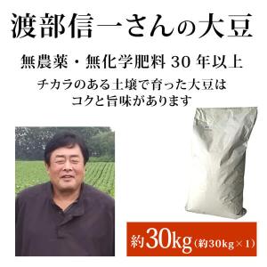 業務用 無農薬大豆 - 渡部信一さんの大豆約30kg（約30kg×1袋） 品種は音更大袖 無農薬栽培30年の美味しい大豆 渡部さんは化学薬品とは無縁｜tamashii