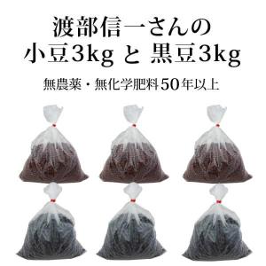 無農薬 大豆 渡部信一さんの大豆1kg×20袋[正規品] 北海道産 化学