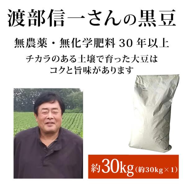 業務用 無農薬 黒豆 - 渡部信一さんの黒豆約30kg（約30kg×1袋）北海道産 無農薬無化学肥料...