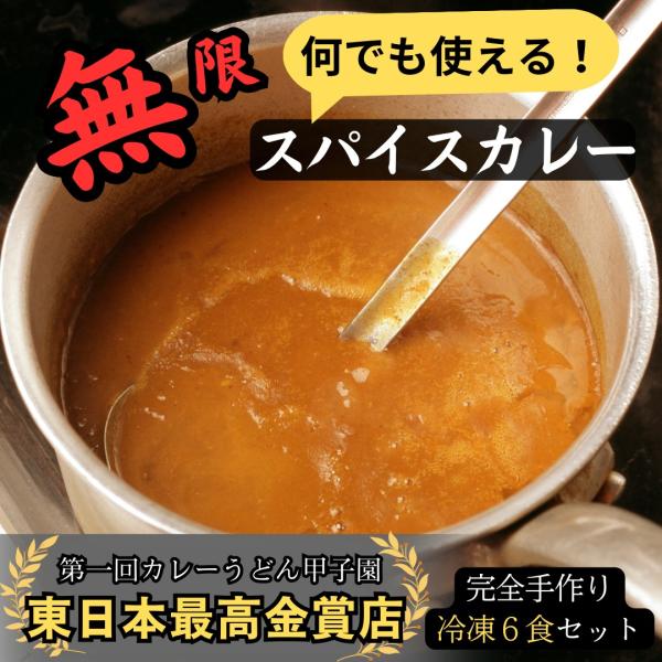 無限 万能 スパイスカレー 6食セット カレー 冷凍 湯煎 流水解凍 カレーうどん カレーライス 手...