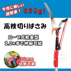高枝切りばさみ のこぎり付き ハサミ 剪定 伸縮式高枝切り鋏