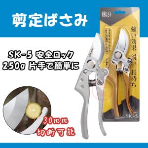 剪定鋏 剪定ばさみ 30mm 花鋏 園芸用品 園芸ハサミ