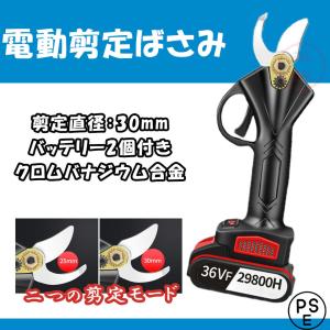 電動剪定ばさみ 枝切り パワフル 充電式 コードレス