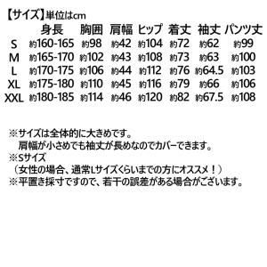 PPAP ピコ太郎 ヒョウ柄 コスプレ 豪華6...の詳細画像5