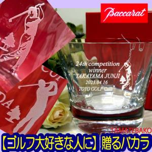 バカラ（Baccarat） プレート 飾り皿 ミルニュイ スモールトレイ