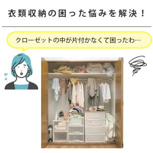 在庫限り特価|収納ケース 2way クローゼッ...の詳細画像1