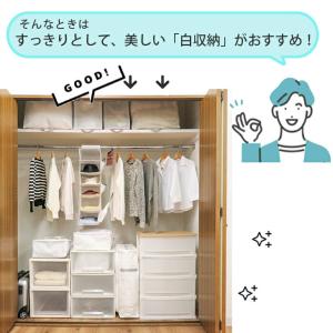 在庫限り特価|収納ケース 2way クローゼッ...の詳細画像2