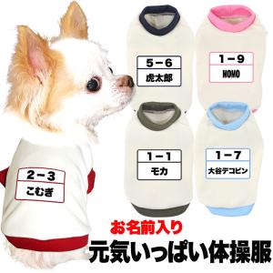 ＼必見★まる得大SALE開催中／犬 服 犬の服 名入れ 秋冬 和柄 ペット トイプードル チワワ 服 面白い 名前入り 元気いっぱい体操服 3D和柄｜タムベディ