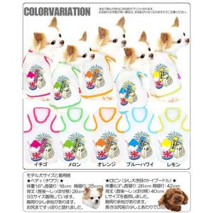 ＼お得なSALE開催中/犬 服 名入れ 春夏用...の詳細画像3