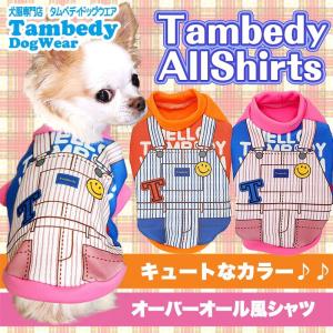 Tambedy（タムベディ） ＼お得なSALE開催中／犬 服 秋冬 チワワ トイ