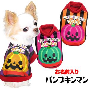 ハロウィンコスチューム ラグランTシャツ半袖 犬 小型犬 可愛い