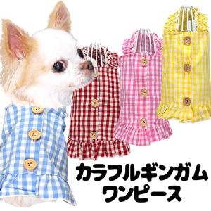 店内全品☆P10倍☆6日23：59まで／犬 服 犬の服 名入れ 春 夏 カラフル