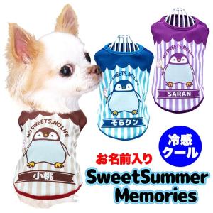 Tambedy（タムベディ） ＼お得なSALE開催中／犬 服 秋冬 チワワ トイ