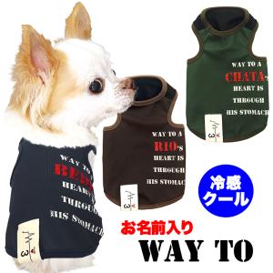 犬 服 犬の服 春服 夏服用 名前入り 冷感クール Way to ウェイトゥー タグ かすれプリント おしゃれことわざ 冷房対策 抜け毛対策｜tambedy