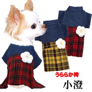 オーダーメイド犬服の着物金尽くし鶴の袴黒静電気防止加工裏地つき