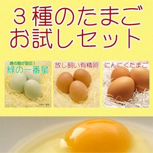 卵 たまご 販売 3種のたまごお試しセット 緑の一番星