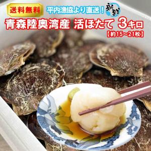 ホタテ 殻付き 活ホタテ 青森陸奥湾産 3キロ 送料無料 生食 刺身 通販