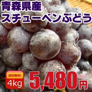 スチューベン 青森県産 特秀品 贈答用 約4Kg入り 12-18房前後 送料無料