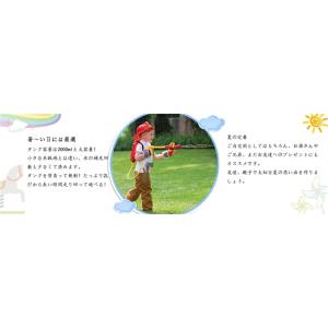 スーパーPayPay 水鉄砲 ウォーターガン ...の詳細画像5